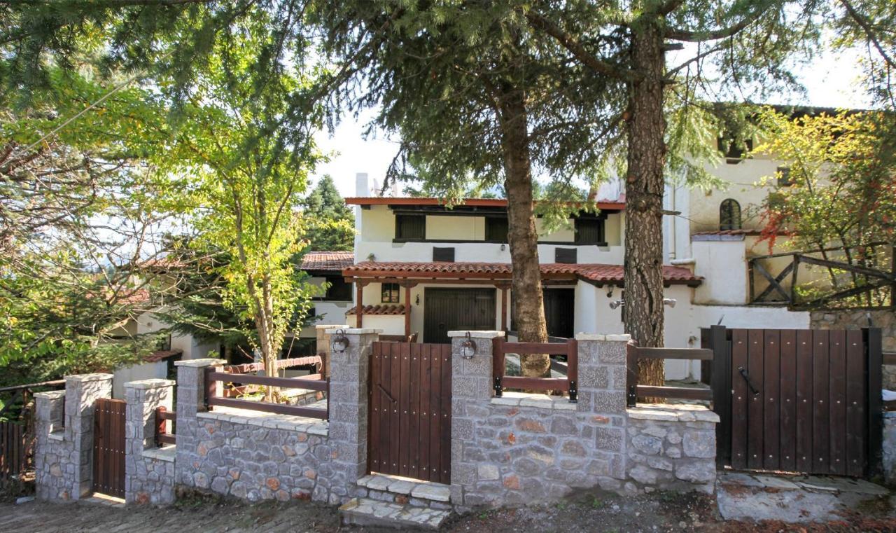 Dandy Villas Agoriani - Chalet Ivoni - Fireplace Eptálofos Dış mekan fotoğraf